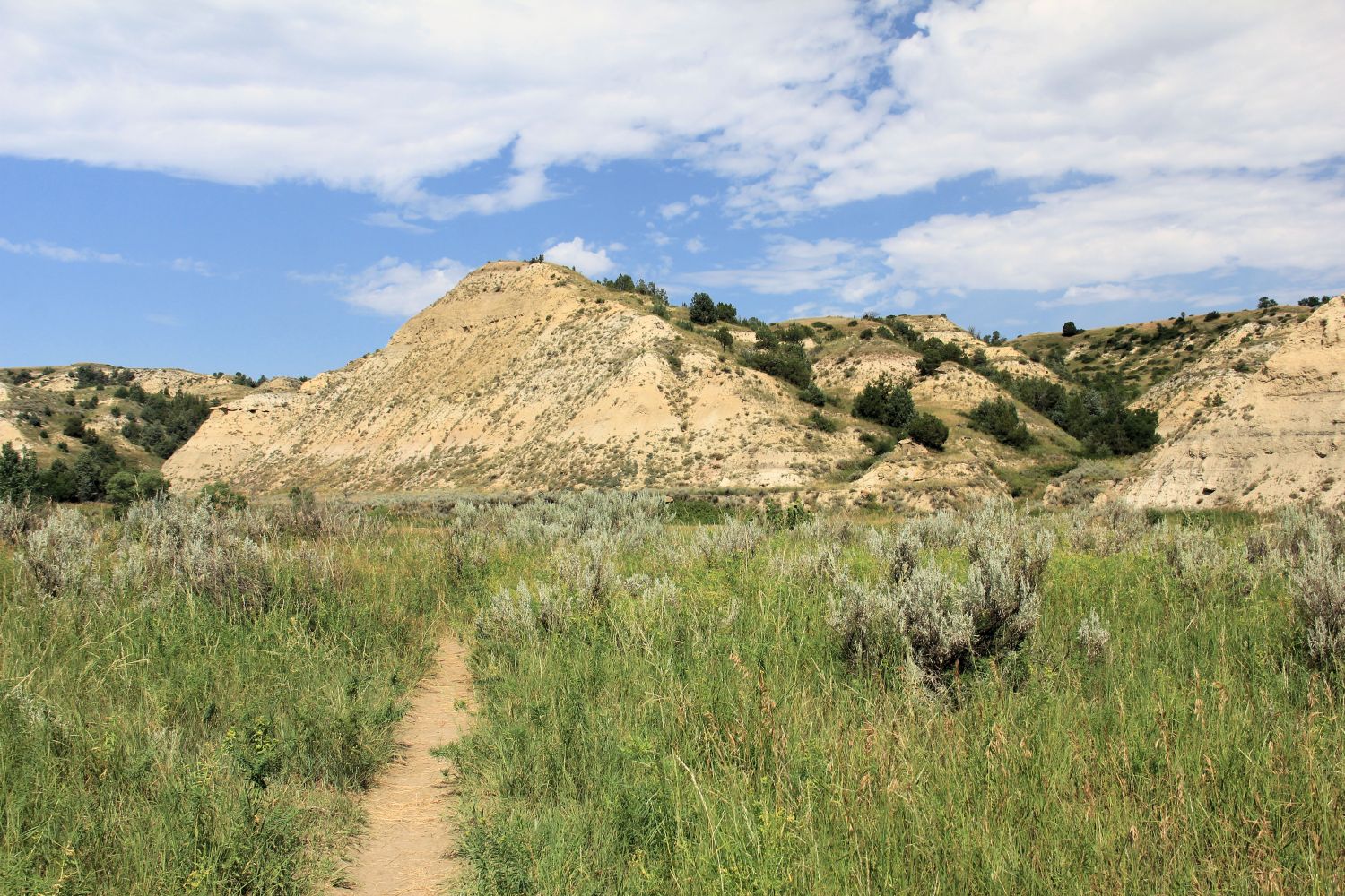 South Unit Scenic Highway and Hikes 